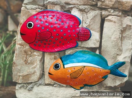 İki balık resmi İki balık resmi