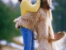 1113379992afgan_tazisi_2 1113379992afgan_tazisi_2