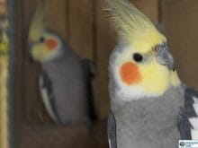 11d55db7a8eef5ea9f9ad7efcd5e8c1d 11d55db7a8eef5ea9f9ad7efcd5e8c1d