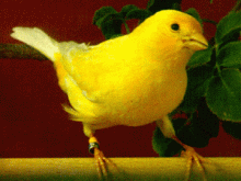 1907oguz_310174823 1907oguz_310174823