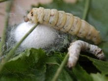 1b18b7f23678669d1deb41aff0de4f1b_1280090780 1b18b7f23678669d1deb41aff0de4f1b_1280090780