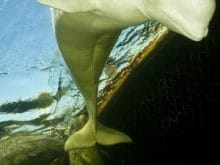 20100119_1263901231_m0gr m 20100119_1263901231_m0gr m