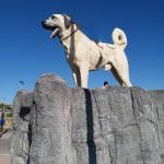 kangal heykeli