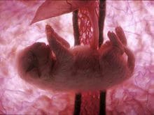 26085_d.jpg 26085_d.jpg