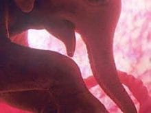 26086_d.jpg 26086_d.jpg