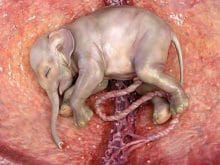 26087_d.jpg 26087_d.jpg