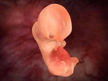 26096_d.jpg 26096_d.jpg