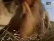 2_4688_18032008 2_4688_18032008