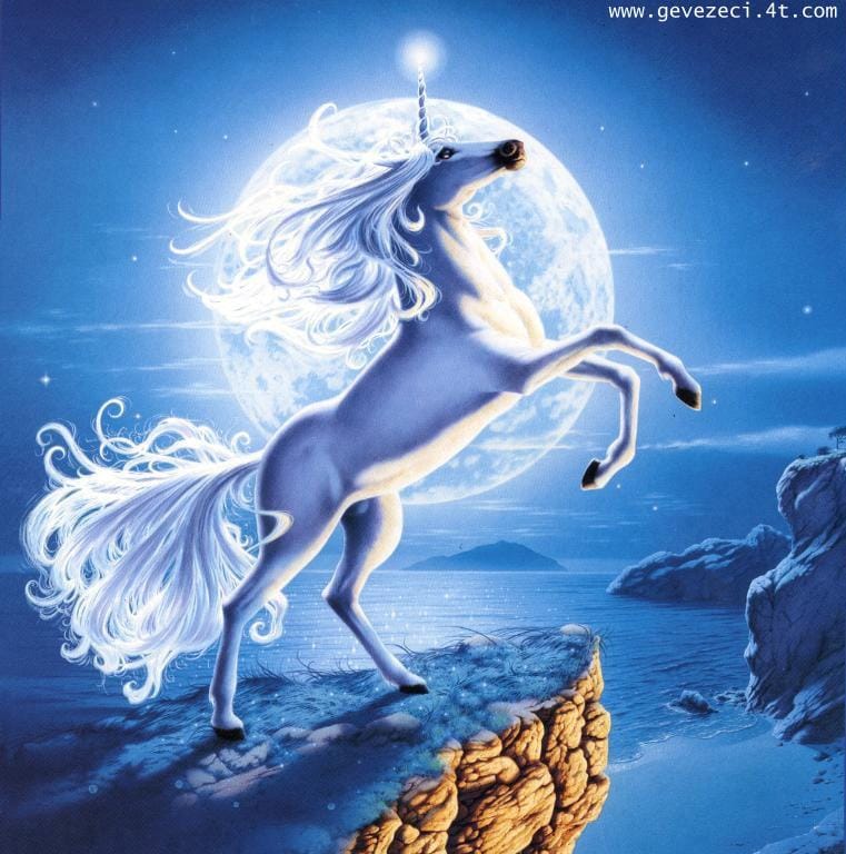 At Resimleri At Resimleri