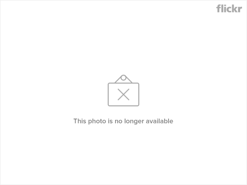 Güvercinler Güvercinler