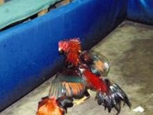 5C475C463F89914E9F92785Ar 5C475C463F89914E9F92785Ar