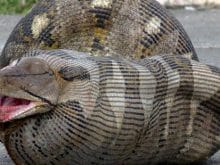 64C85B092CD66D42A7399CD2r 64C85B092CD66D42A7399CD2r