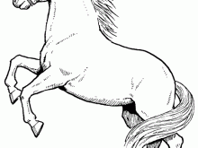 At boyama resimleri_1.gif At boyama resimleri_1.gif