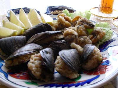 Omurgasız hayvanlar hangileridir Omurgasız hayvanlar hangileridir