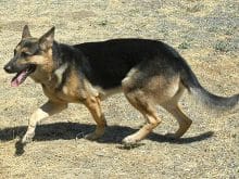 ZG9RbTdsM2hrSy1jSk06 ZG9RbTdsM2hrSy1jSk06