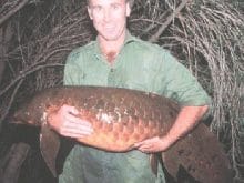 akcigerli balik 5 akcigerli balik 5