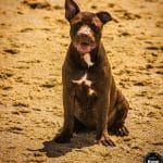 almeidaraoni20170916000857741