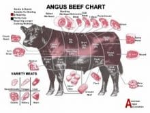 angus 3 300x232 angus 3 300x232