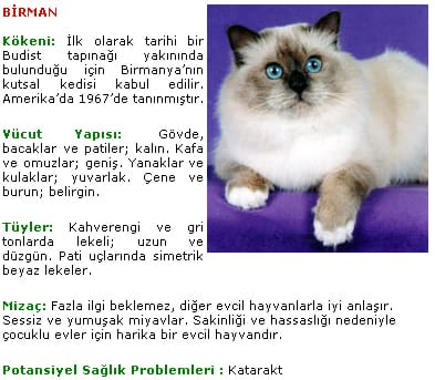 Birman