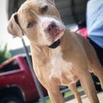 canaan_and_cliff20170916000911391