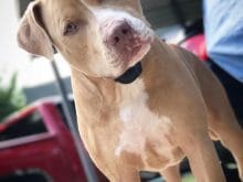 canaan_and_cliff20170916000911391 canaan_and_cliff20170916000911391