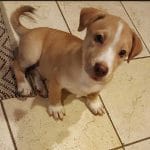 chicocheekyworld20170916000812822