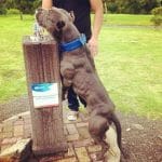 diego_xavier_luna20170916000800356