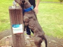 diego_xavier_luna20170916000800356 diego_xavier_luna20170916000800356