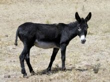 esek_689519281 esek_689519281