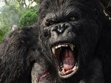 goril_resimleri_10 goril_resimleri_10