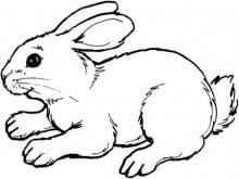 hayvan boyama resimleri_10.jpg hayvan boyama resimleri_10.jpg