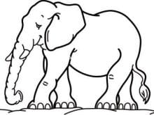 hayvan boyama resimleri_4.jpg hayvan boyama resimleri_4.jpg