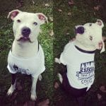 iamharleymax20170916000947382