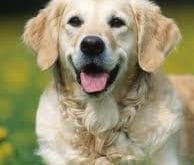 imagesCAEH5IU7 imagesCAEH5IU7