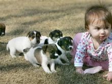 İnsan ve bebek yavrusu İnsan ve bebek yavrusu