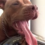 instajeycob20170916000828414