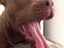 instajeycob20170916000828414 instajeycob20170916000828414