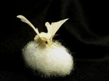 ipek böceği_8.jpg ipek böceği_8.jpg