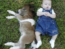 komik esek sipasi komik esek sipasi