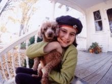 Poodle (Minyatür Kaniş) Poodle (Minyatür Kaniş)