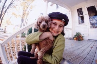 Poodle (Minyatür Kaniş) Poodle (Minyatür Kaniş)