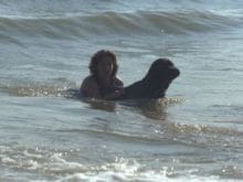 Newfoundland Newfoundland