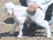 kucukbas12_clip_image004.jpg kucukbas12_clip_image004.jpg