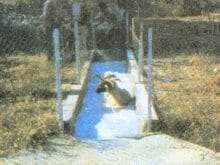 kucukbas14_clip_image002.jpg kucukbas14_clip_image002.jpg