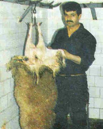 KESİM YÜZME TEKNİĞİ KESİM YÜZME TEKNİĞİ