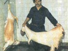 kucukbas14_clip_image006_0000.jpg kucukbas14_clip_image006_0000.jpg