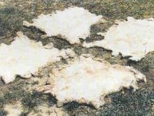 kucukbas14_clip_image008_0000.jpg kucukbas14_clip_image008_0000.jpg