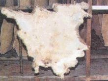 kucukbas14_clip_image012.jpg kucukbas14_clip_image012.jpg