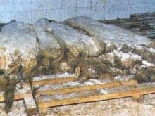 kucukbas14_clip_image016.jpg kucukbas14_clip_image016.jpg