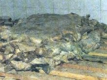 kucukbas14_clip_image018.jpg kucukbas14_clip_image018.jpg